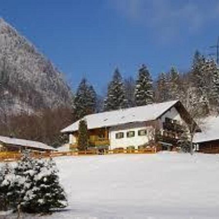 Haus Holzner-Nagl Apartment Schneizlreuth Bagian luar foto