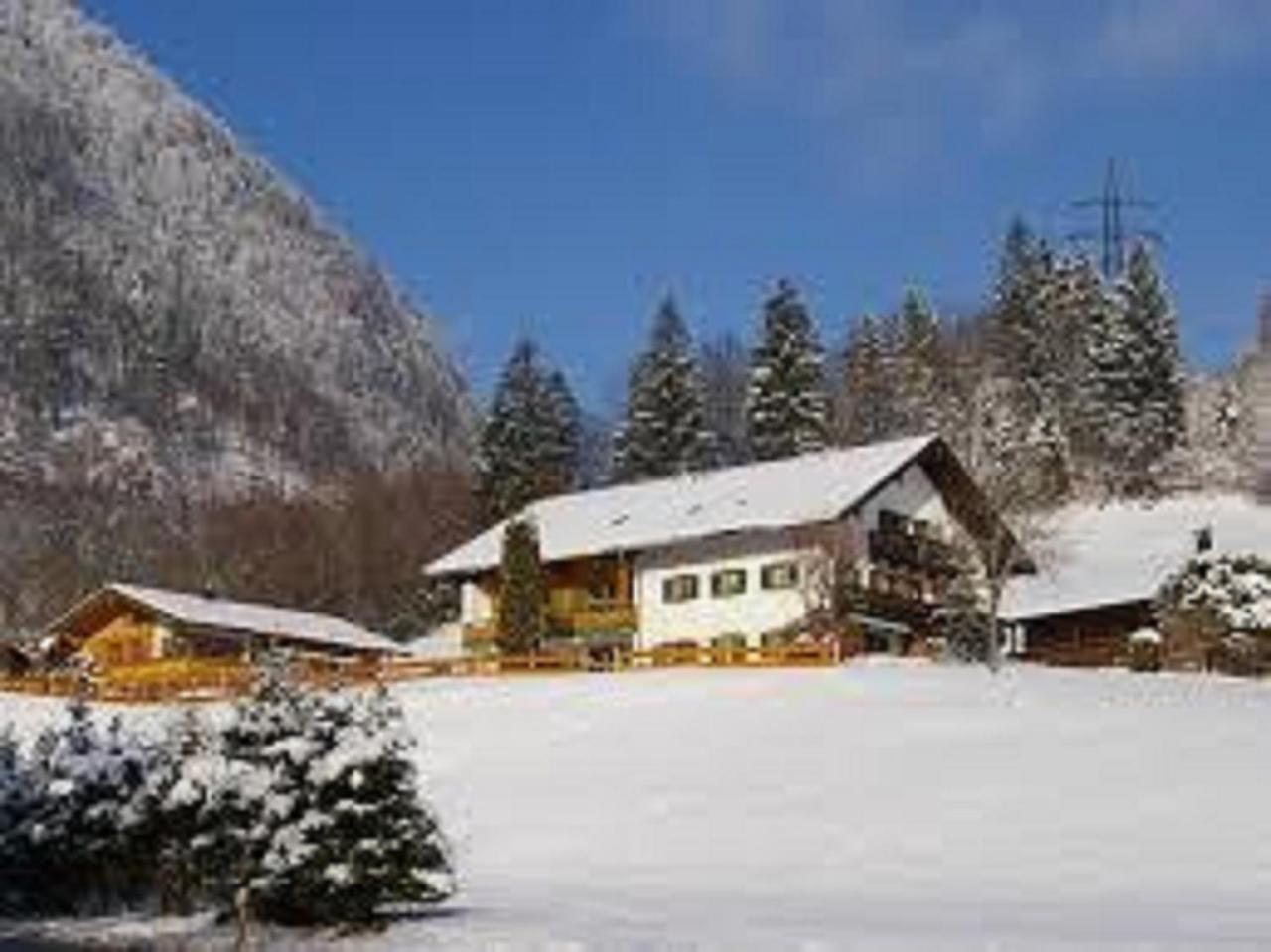 Haus Holzner-Nagl Apartment Schneizlreuth Bagian luar foto